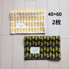 ランチマット　女の子U　40×60　ランチョンマット　大判　ミモザ　小花