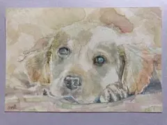 空シド Season2様 リクエスト 2点 まとめ商品