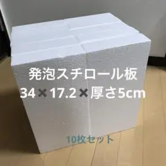 発泡スチロール　34✖️17.2✖️5cm 板状　10枚セット　工作　模型