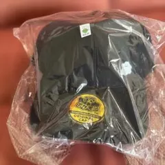 ぽこあポケモン　エディオン　購入特典　キャップ　帽子