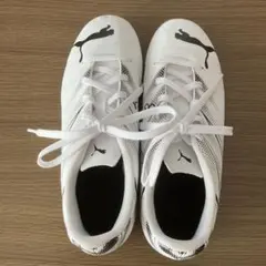 Item thumbnail for item ae4cf896-7a6a-41dd-8fac-1fcbf7e356c5