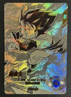 ドラゴンボールスーパーダイバーズ 亀仙人 APT-020 パラレル - メルカリ