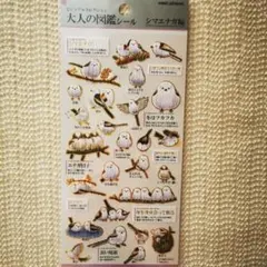 Item thumbnail for item 48f3847f-047a-47d8-aaa0-c56804317305