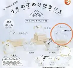 うちの子のけだまだま　三角たれみみ　カプセルトイ