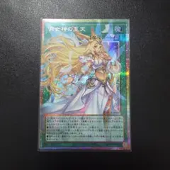 月女神の至天 オーバーフレーム プリズマ UTILITY SELECTION - メルカリ
