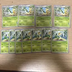 ジャノビー4枚、ツタージャ7枚