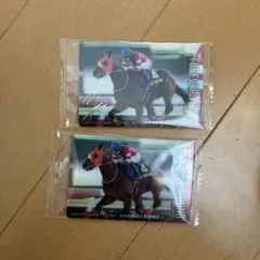 しべりあ様 リクエスト 2点 まとめ商品