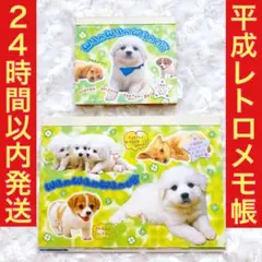 2026年最新】わんわんわんこ サンエックスの人気アイテム - メルカリ