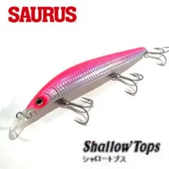 2026年最新】ザウルス ミノーの人気アイテム - メルカリ