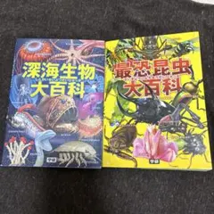 ktgm様 リクエスト 2点 まとめ商品