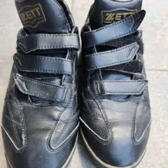 Item thumbnail for item 1b22a67b-873b-4144-9463-e0de425fbfb9