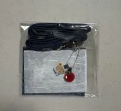 ♡新品未使用♡《ファミリア》ネームホルダー　青系チェック