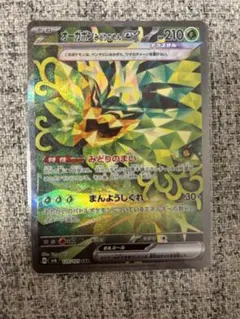 オーガポン みどりのめんex SAR 125/101 SV6