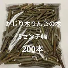 Item thumbnail for item 2e93a0b4-1cba-47ca-9898-a37aa1736050