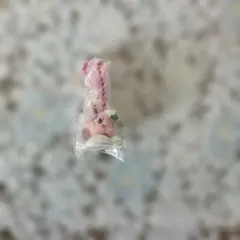 カービィのグルメフェスまんまるたまごボーロマスコット付き(お菓子無し)