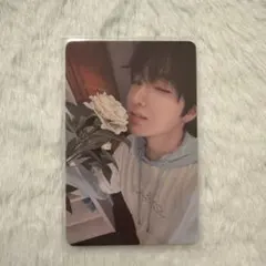 NCT WISH songbird qqmusic 特典 サクヤ トレカ