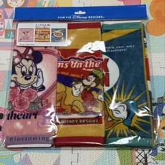 ディズニーリゾートミニタオル3枚セット
