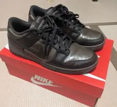 ナイキ ダンク LOW レトロ プレミアム メンズシューズ