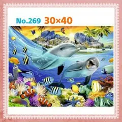 ⭐No.269  ダイヤモンドアート⭐30×40⭐四角ビーズ⭐イルカ 海 熱帯魚