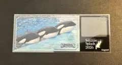 鴨川シーワールド シャチ 濡れないチケット 限定 8月 - メルカリ