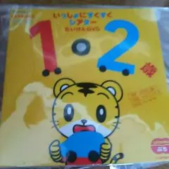 いっしょにすくすくシアター たいけんDVD1、2歳