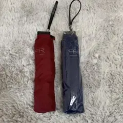 Item thumbnail for item e3d43eaa-81ee-4fe5-ad04-d89be9c9e623