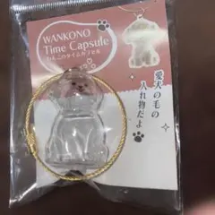 わんこのタイムカプセル キーホルダー 新品 未使用