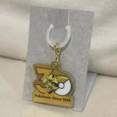 ポケモン 30周年 ロゴマスコット ゼラオラ
