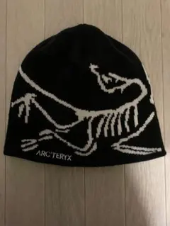 ARC'TERYX ニット帽 黒