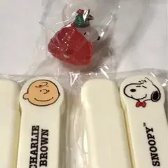 スヌーピー　めじるしアクセサリー　印鑑ケース　チャーリーブラウン　未使用　希少
