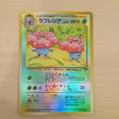 ラフレシア 映画公開記念パック サザンアイランド