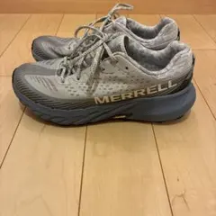 Item thumbnail for item d136e673-5399-47da-8708-0c968c5a3c3c