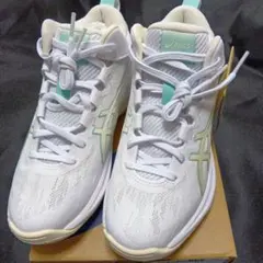 バスケットボールシューズ asics GELHOOP V17 24センチ