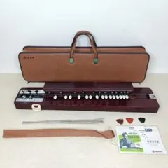 美品】SUZUKI 鈴木楽器製作所 電気大正琴 大正琴 弁慶 動作品 - メルカリ