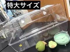 ルーミィ 60 グランスペース ハムスター 小動物 サークル回し車 給水器のサムネイル