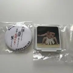 2026年最新】鶴竜の人気アイテム - メルカリ