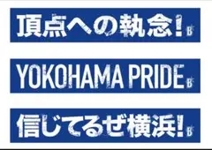 【限定一点】横浜DeNAベイスターズ★頂点への執念! タオル （9月23日配布）