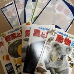 ハッピーセット 小学館の図鑑NEO 10冊セット
