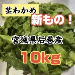 山形県産 山菜塩漬け4種 各1kgセット ワラビ イタドリ コゴミ フキ