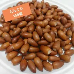 どんぐり 150個 煮沸消毒済み