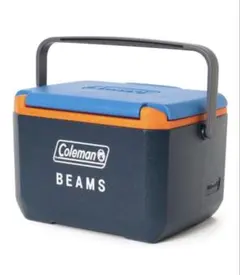 beams ビームス トランクカーゴ コンテナ 収納 ボックス 30L 完売品 