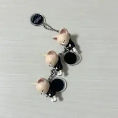 straykids skzoo つまんでつなげて アイエン フォクシニー