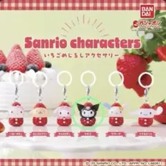 いちごめじるしアクセサリー クロミ✖️2