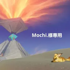 専用出品