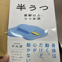 半うつ 憂鬱以上、うつ未満