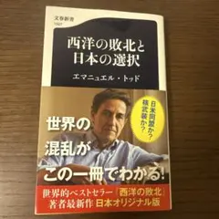 西洋の敗北 文学・小説