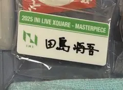 INI XQUARE MASTERPIECE カプセルトイ ネームプレート