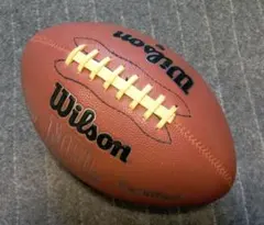 Item thumbnail for item 5d21fac9-f7ac-4105-b29b-5c69971e8a2a