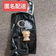 straykids SKZOO めじるしアクセサリー PuppyM
