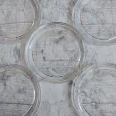 【昭和レトロ】　ガラス皿　3枚　　おまけ２枚つき　(計５枚)